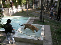 thumb_200220111211.jpg