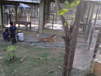 thumb_200220111212.jpg