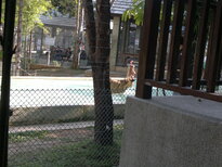 thumb_200220111213.jpg