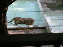 thumb_200220111214.jpg