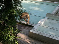 thumb_200220111216.jpg