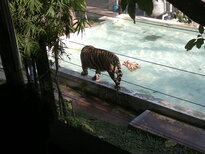 thumb_200220111217.jpg