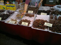 thumb_200220111219.jpg
