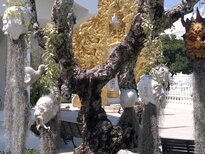 thumb_230220111257.jpg