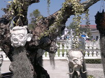 thumb_230220111259.jpg