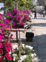thumb_230220111265.jpg