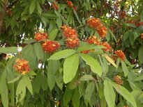 thumb_230220111268.jpg