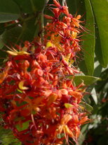 thumb_230220111269.jpg