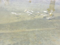 thumb_230220111272.jpg