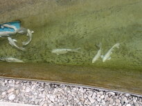 thumb_230220111273.jpg