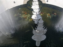 thumb_230220111283.jpg
