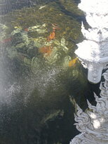 thumb_230220111284.jpg