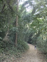 thumb_230220111293.jpg