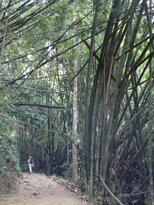 thumb_230220111294.jpg