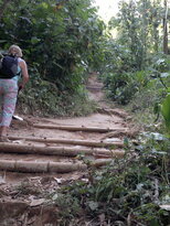 thumb_230220111295.jpg