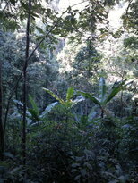 thumb_230220111297.jpg