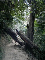 thumb_230220111298.jpg