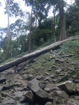 thumb_230220111310.jpg
