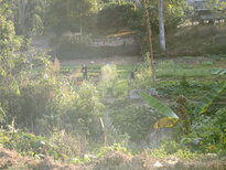 thumb_230220111312.jpg