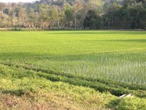 thumb_230220111313.jpg