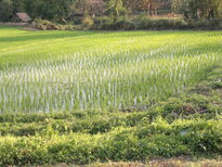 thumb_230220111314.jpg