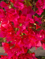 thumb_230220111315.jpg