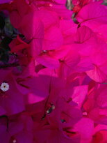 thumb_230220111316.jpg