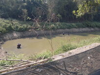 thumb_240220111321.jpg