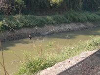 thumb_240220111322.jpg