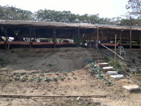 thumb_240220111332.jpg