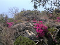 thumb_240220111342.jpg
