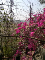 thumb_240220111348.jpg