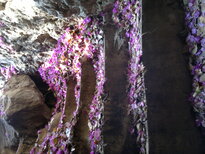 thumb_240220111350.jpg