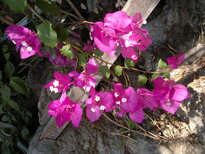 thumb_240220111352.jpg