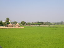 thumb_240220111361.jpg