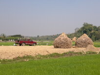 thumb_240220111362.jpg