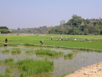 thumb_240220111363.jpg