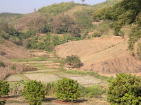 thumb_240220111375.jpg