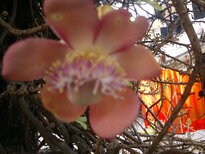 thumb_250220111392.jpg