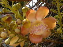 thumb_250220111393.jpg