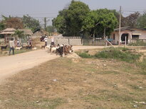 thumb_260220111395.jpg
