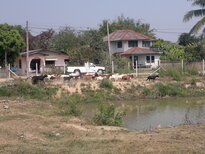 thumb_260220111396.jpg