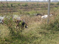 thumb_260220111398.jpg