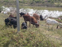 thumb_260220111399.jpg