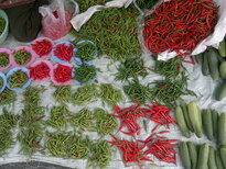 thumb_260220111413.jpg
