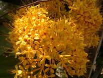 thumb_270220111418.jpg