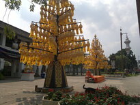 thumb_270220111423.jpg
