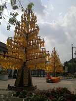 thumb_270220111424.jpg