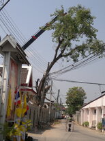 thumb_280220111437.jpg