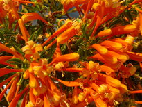 thumb_280220111438.jpg